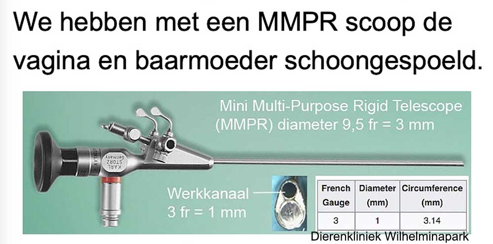 We gebruiken een dunne smalle scoop MMPR om de blaas schoon te spoelen